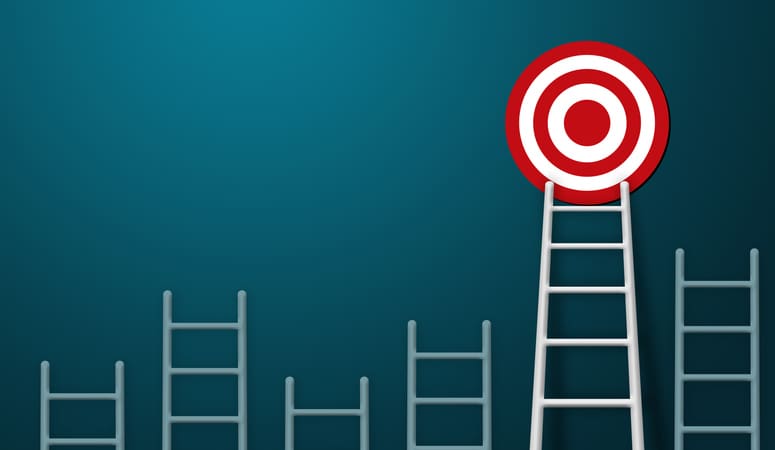 One ladder out of several that can reach the bulls-eye target. Credit: https://www.istockphoto.com/portfolio/marchmeena29